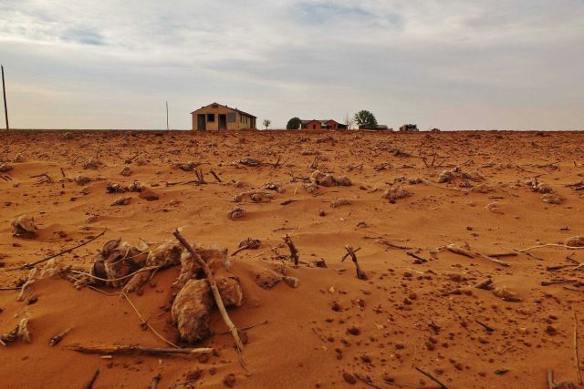 Desolate drought-stricken landscape. Picture