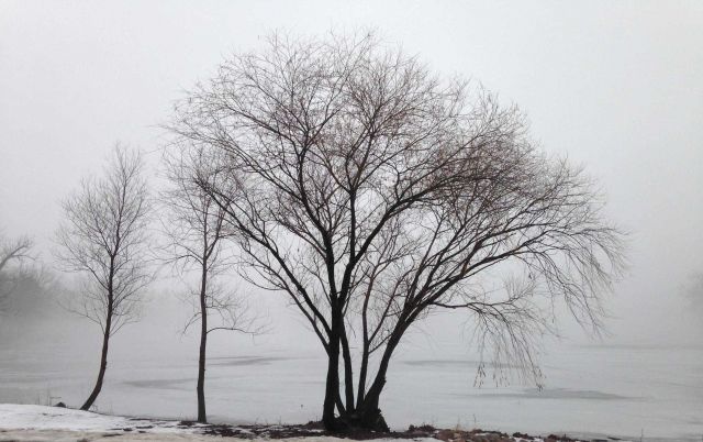 Winter scene of ice, snow, freezing fog, and iced over pond. Picture