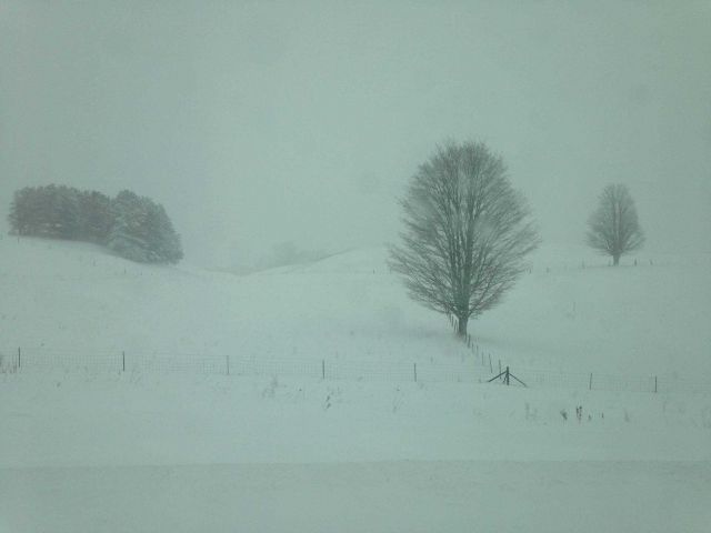 Snow Picture