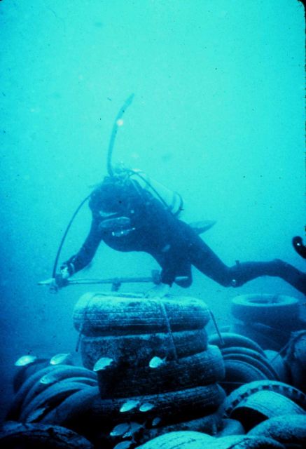 Once popular tire reefs may break apart and wash up on beaches. Picture