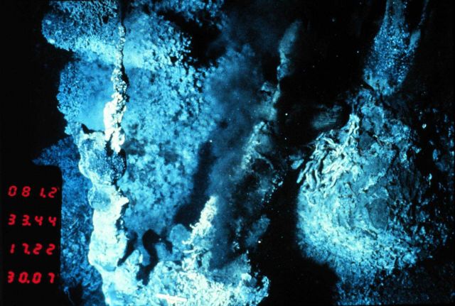 Black smoker chimney on Endeavour Ridge spouts super-heated water and chemicals. Picture