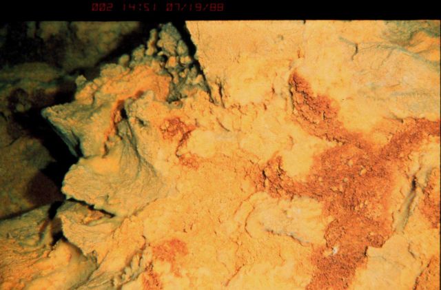 Yellow iron oxide covered lava rock on the flank of Loihi submarine volcano. Picture