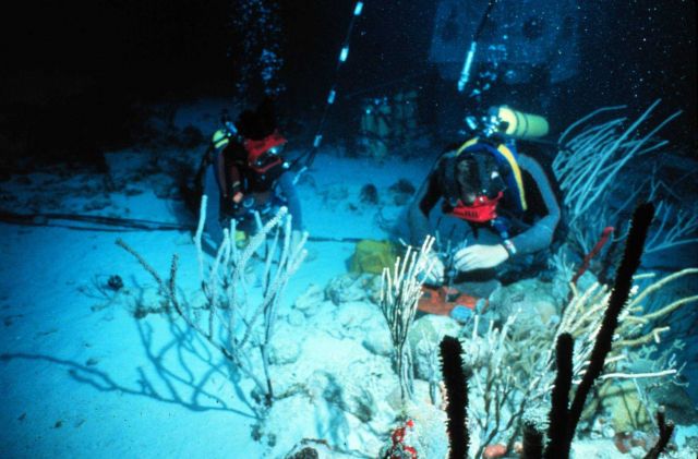 Divers adjust micromanipulator used to sample close to coral heads. Picture