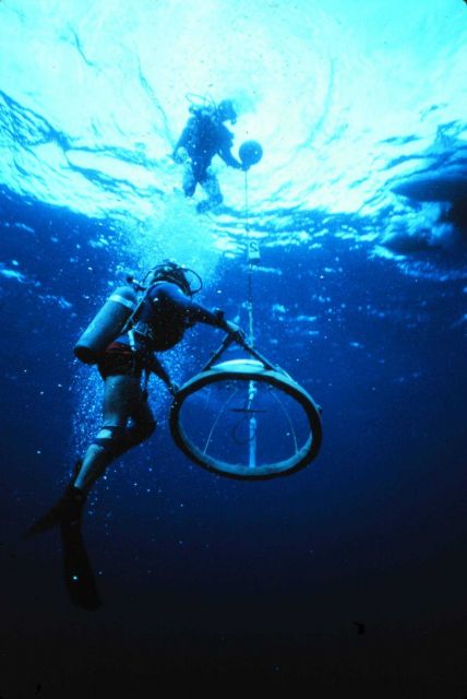 Divers transport benthic chamber used to measure productivity and respiration. Picture