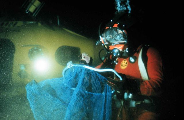 Diver prepares herring collection nets next to submersible. Picture