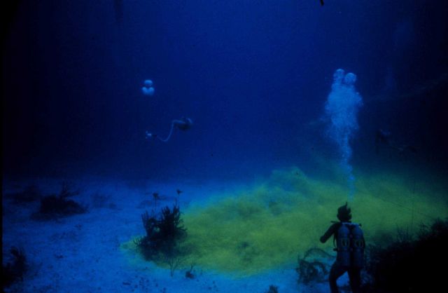 Dye released to trace near bottom flow over a coral reef ecosystem. Picture