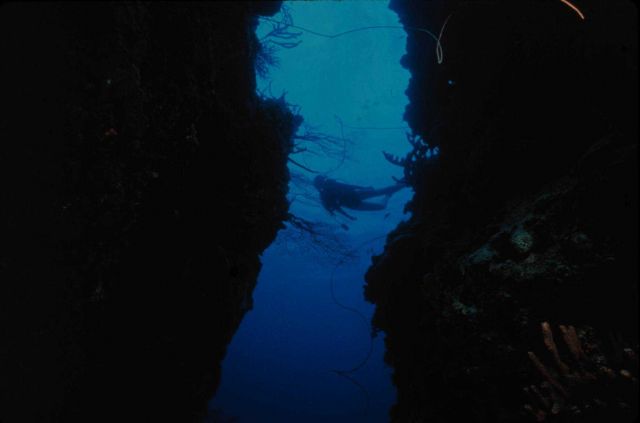 Coral reef chasm frames underwater photographer. Picture
