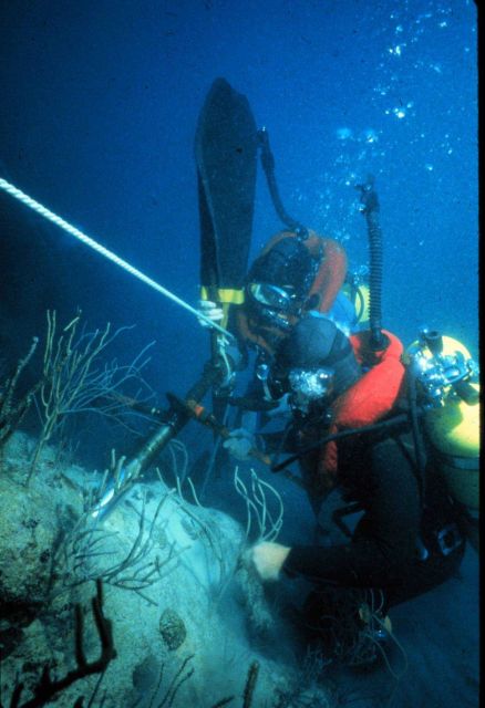 Divers are able to collect rock cores from vertical walls on a coral reef. Picture