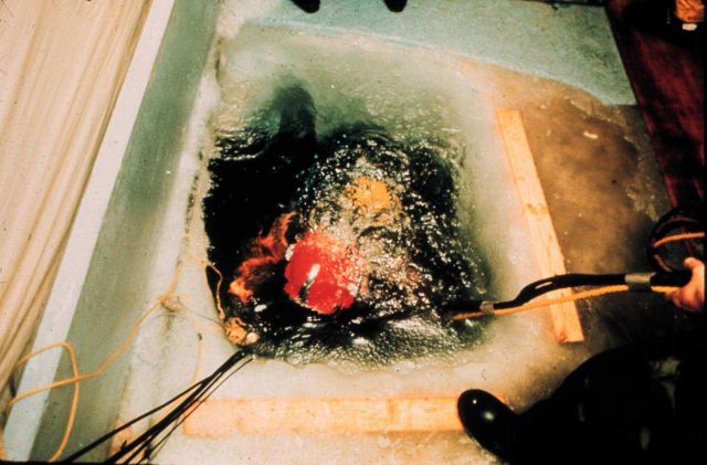 Umbilical diving through the ice provides a safety line back to the hole. Picture