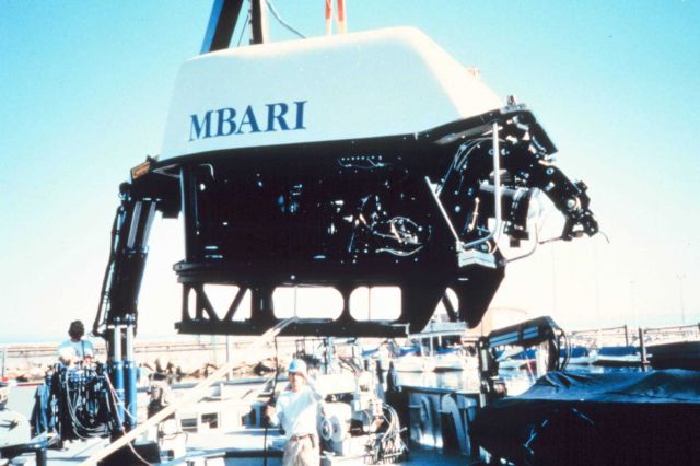 MBARI's Ventana frequently dives along the rock walls of Monterey Canyon. Picture