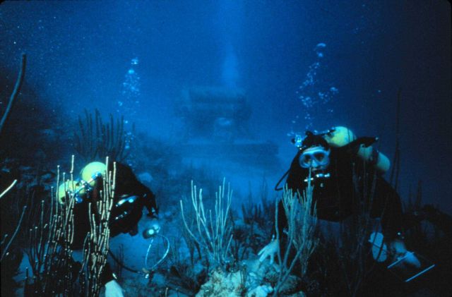 HYDROLAB scientists conducted coral reef studies not possible from the surface. Picture