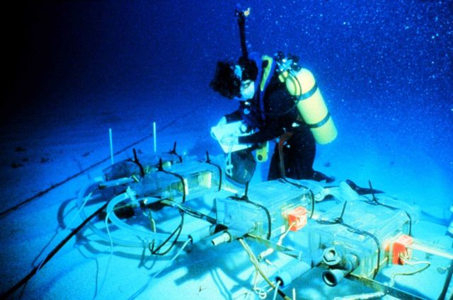 AQUARIUS scientist adjusts coral feeding experiment controlled in habitat. Picture