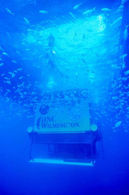 AQUARIUS weighs 100 tons in air but can be weightless underwater. Picture