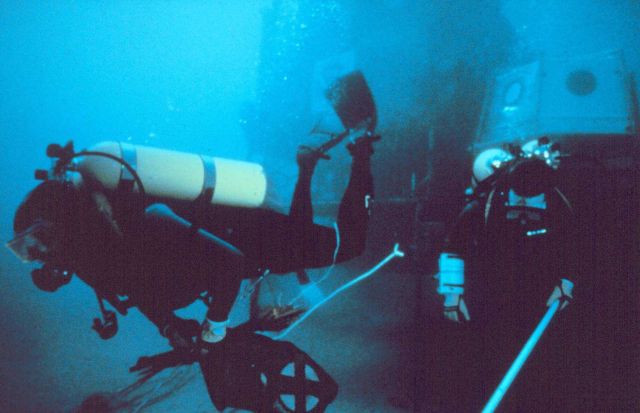 Divers excurt (dive) from AQUARIUS Picture