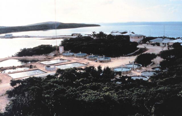 NURP's Caribbean Marine Research Center on Lee Stocking Island, Bahamas. Picture