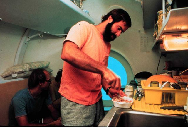 Life in an undersea habitat. Picture