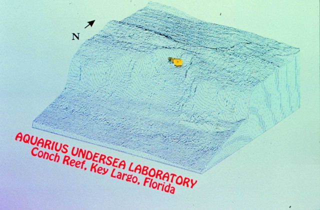 Conch Reef, FL, home of the AQUARIUS undersea lab. Picture