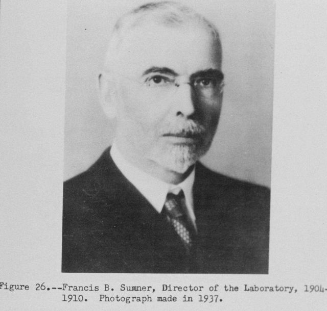 Francis B Picture