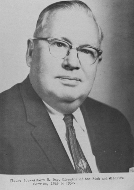 Albert M Picture