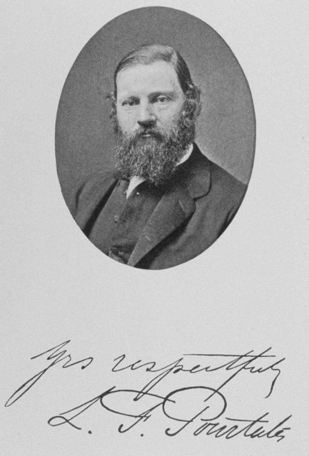 Count Louis Francois de Pourtales (1824-1880) Picture