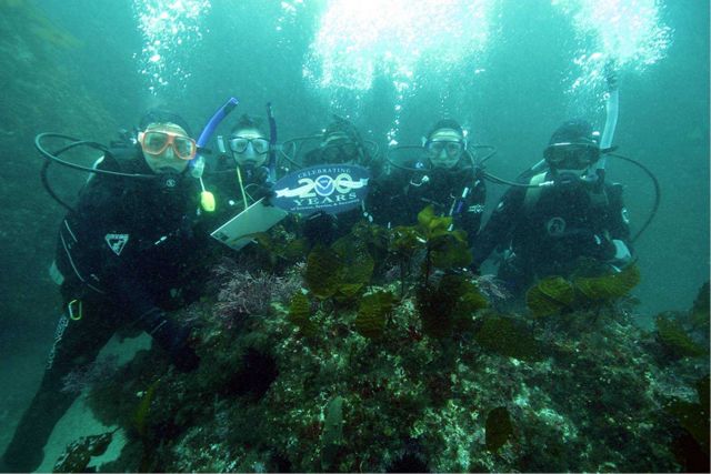Channel Islands National Marine Sanctuary dive team members are displaying the NOAA 200th banner during a REEF fish survey in the waters off Anacapa I Picture