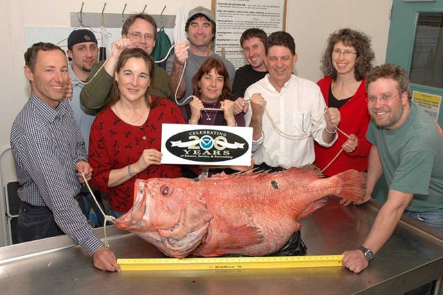 Greetings from the Alaska Fisheries Science Center (AFSC) Picture