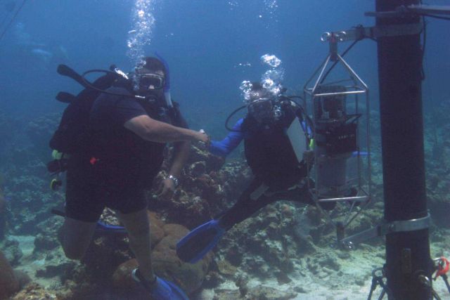 Greetings from NOAA's Integrated Coral Observing Network Picture