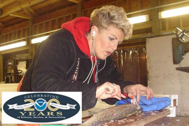 NOAA Port Agent Joanne Pellegrino, stationed in Toms River, New Jersey, removes an otolith (ear bone) from a Golden Tilefish, as part of a biological  Picture