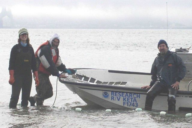 Greetings from the Columbia River estuary! Here you see a crew from the Pt Picture