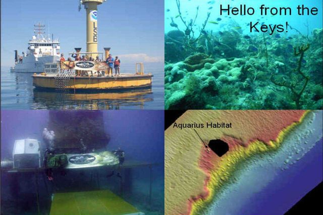 The Florida Key's National Marine Sanctuary cruise aboard the NOAA Ship NANCY FOSTER yielded an opportunity to assist other programs in need of valuab Picture