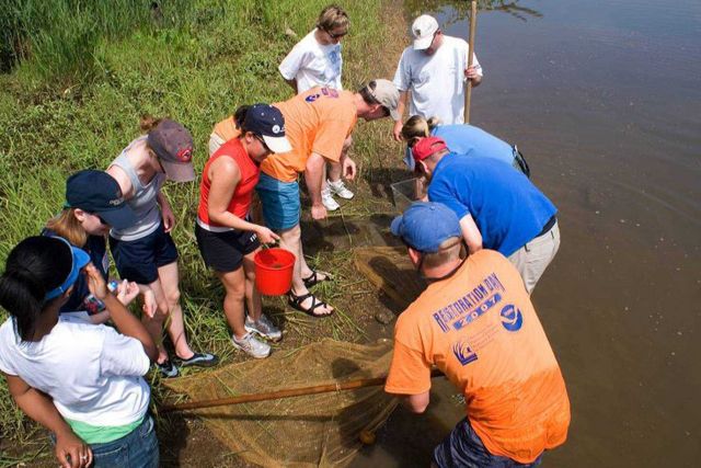 Hundreds of NOAA employees and partners participated in the 4th annual NOAA Restoration Day in Maryland and Virginia Picture