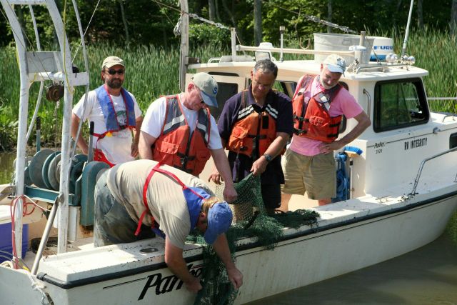 Hundreds of NOAA employees and partners participated in the 4th annual NOAA Restoration Day in Maryland and Virginia Picture