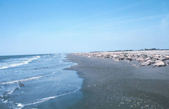 The rock revetment placed at East Timbalier Island helps to prevent erosion while the marsh accretes. Picture