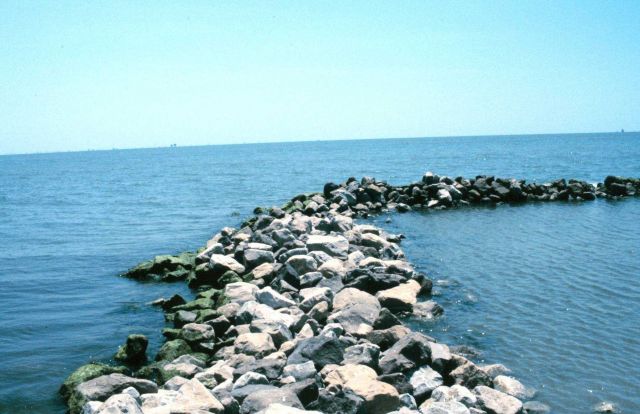 Another view of the southeastern part of the restoration area. Picture