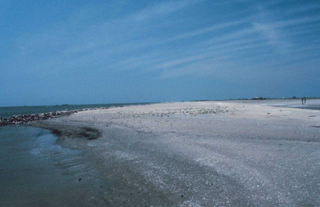 A view from the southeastern part of the restoration area where erosion was a concern. Picture