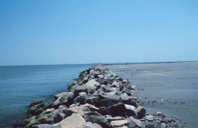 The rock revetment was placed to prevent erosion at the restoration site. Picture