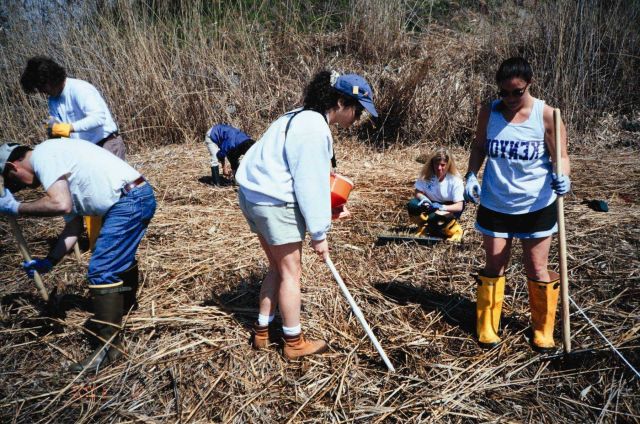 A group of volunteers plant at the Ft Picture