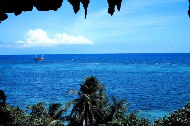 Looking from the cliffs at Playa de Pajaros Picture