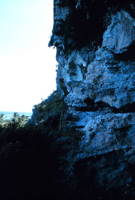 The limestone cliffs at Mona Island Picture