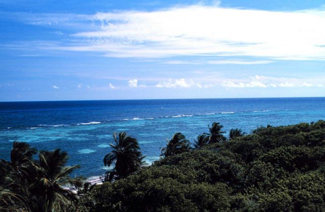 The shaded variations in the water illustrate the patch reefs common at Mona Island Picture