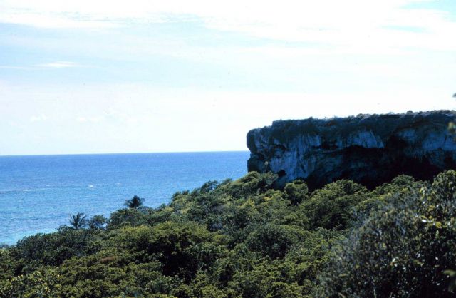 Facing south, a cliff face near the restoration site Picture