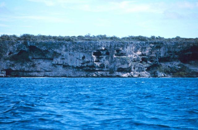 The craggy face of a cliff at Mona Island Picture