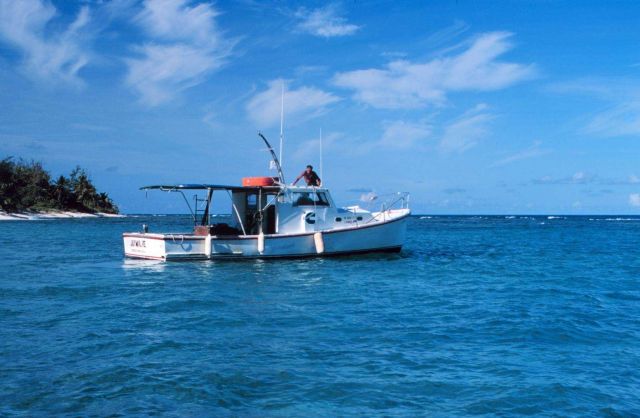 The Jamilie anchors in calm waters. Picture