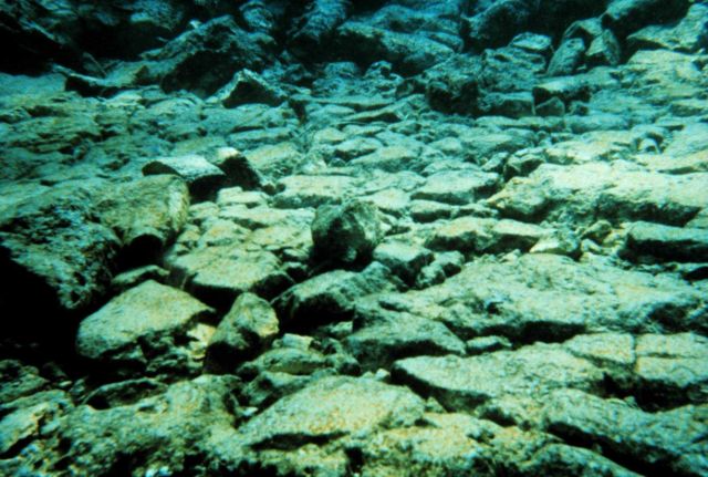 This image shows the reef framework crushed at ground zero impact. Picture