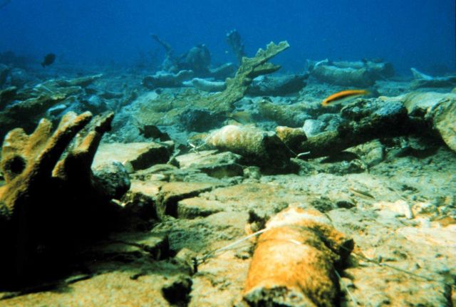 Numerous fragments of Elkhorn coral, Acropora palmatta, lie on the reef damaged by the grounding Picture