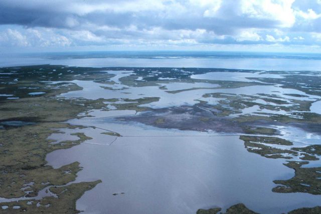 An aerial view of the created wetlands in the containment area. Picture