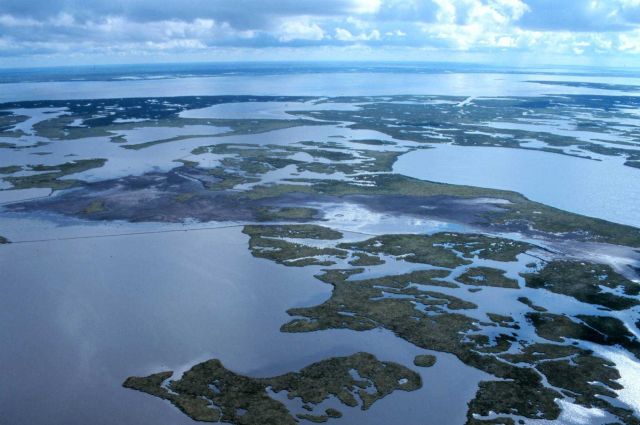 An aerial close-up view of the created wetlands with a prominent lobe in the foreground. Picture