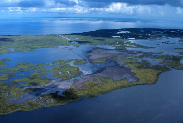 Lake Chapeau, the created wetlands can be seen in the foreground of the photograph. Picture