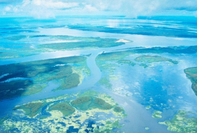 Marsh fragmentation Picture