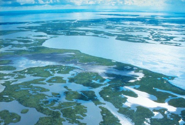 Marsh fragmentation Picture